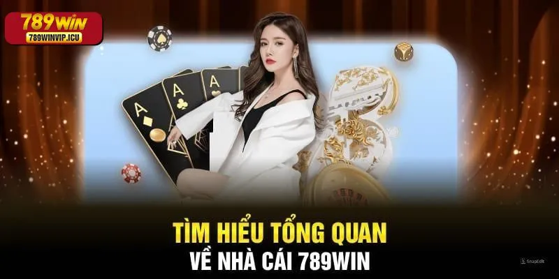 Giới thiệu tổng quan về 789win